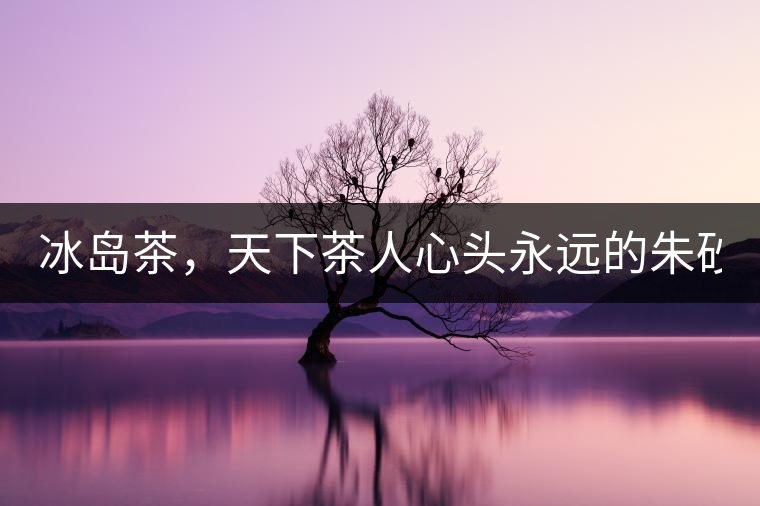 冰島茶，天下茶人心頭永遠(yuǎn)的朱砂痣！