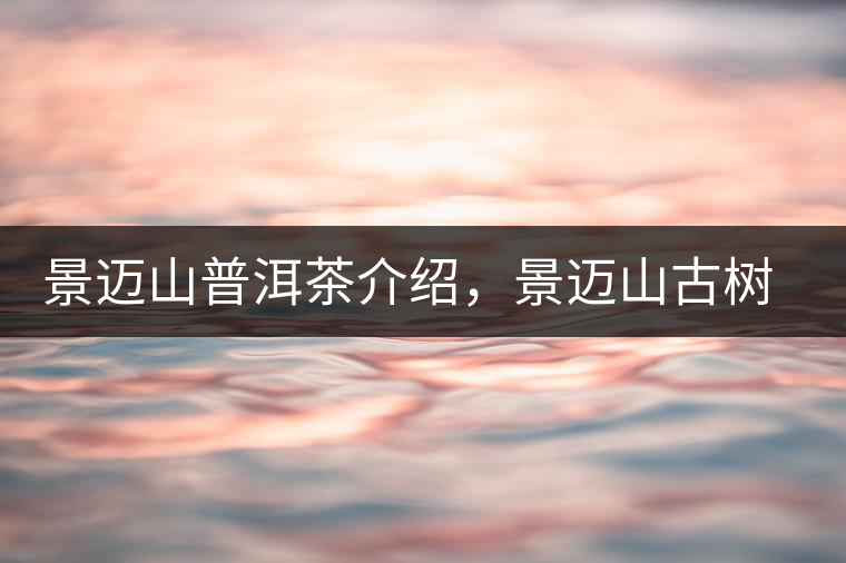 景邁山普洱茶介紹，景邁山古樹茶口感特點