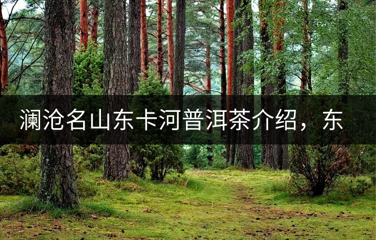 瀾滄名山東卡河普洱茶介紹，東卡河古樹茶口感特點(diǎn)