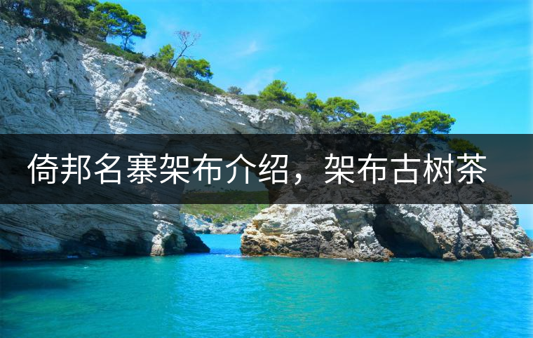 倚邦名寨架布介紹，架布古樹茶口感特點