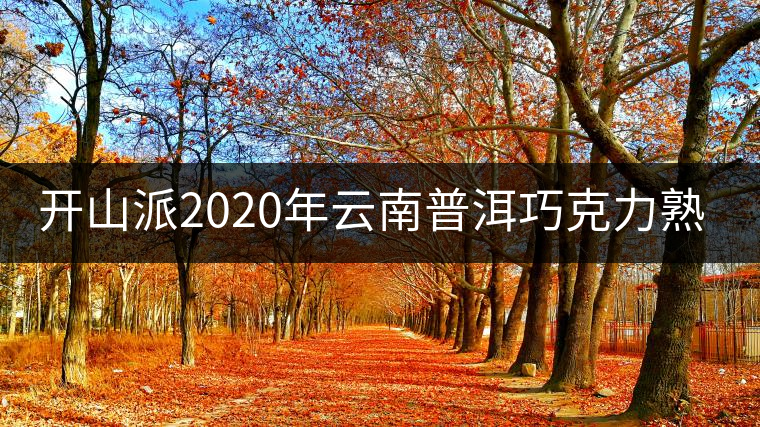 開(kāi)山派2020年云南普洱巧克力熟茶磚 緊壓普洱茶熟茶1片裝50g 開(kāi)山派2020年云南普洱巧克力熟茶磚 緊壓普洱茶熟茶1片裝50g