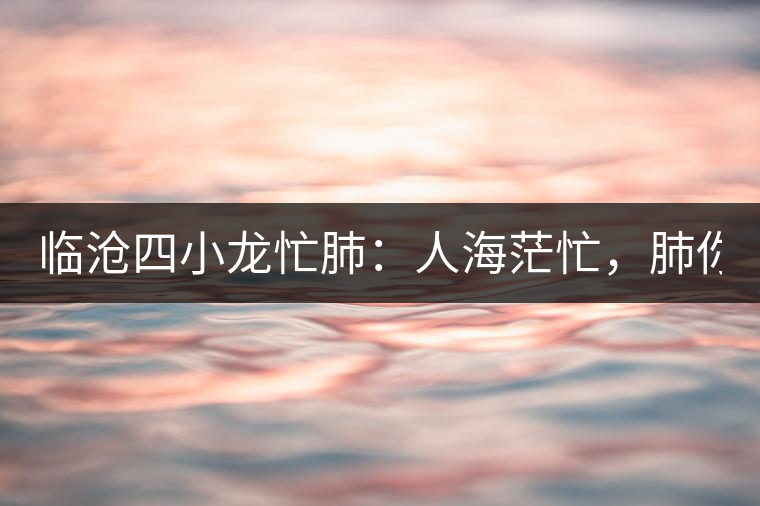 臨滄四小龍忙肺：人海茫忙，肺你莫屬！