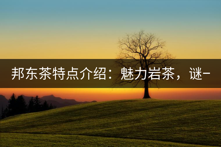 邦東茶特點介紹：魅力巖茶，謎一樣的邦東！