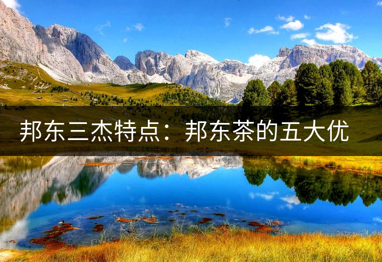 邦東三杰特點(diǎn)：邦東茶的五大優(yōu)點(diǎn)和五大缺點(diǎn)