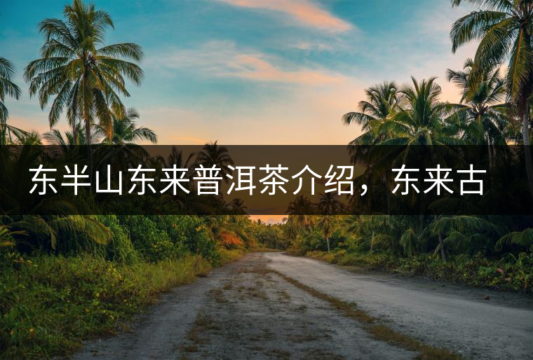 東半山東來普洱茶介紹，東來古樹茶口感特點