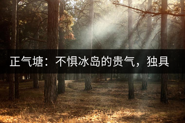 正氣塘：不懼冰島的貴氣，獨具冰島之魅力