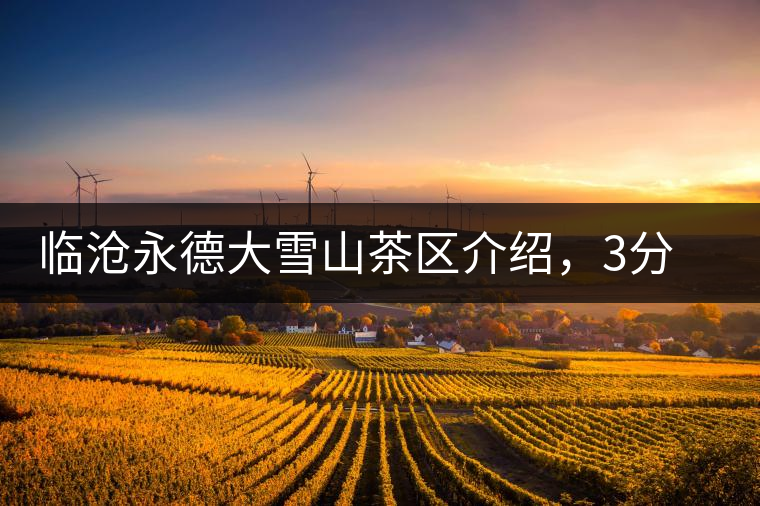 臨滄永德大雪山茶區(qū)介紹，3分鐘了解永德大雪山古樹茶