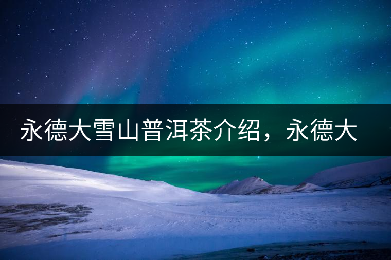 永德大雪山普洱茶介紹，永德大雪山古樹(shù)茶口感特點(diǎn)