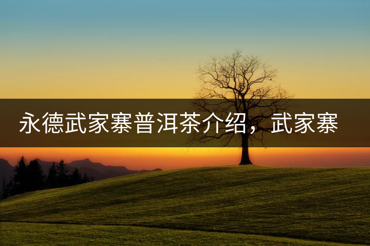 永德武家寨普洱茶介紹，武家寨古樹茶口感特點