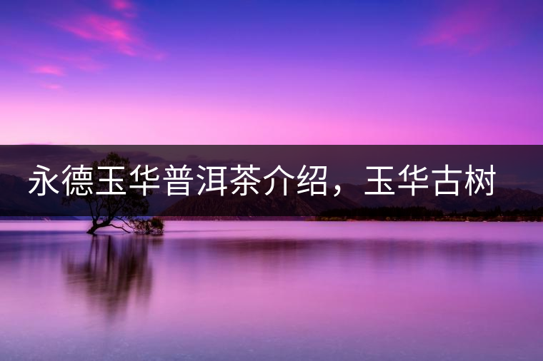 永德玉華普洱茶介紹，玉華古樹(shù)茶口感特點(diǎn)