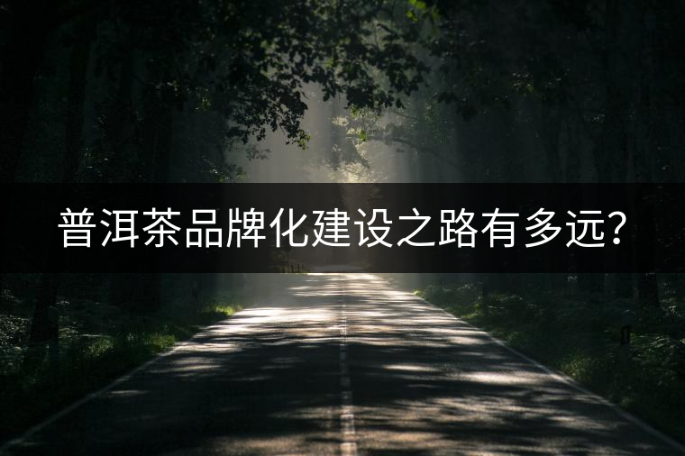 普洱茶品牌化建設(shè)之路有多遠(yuǎn)？