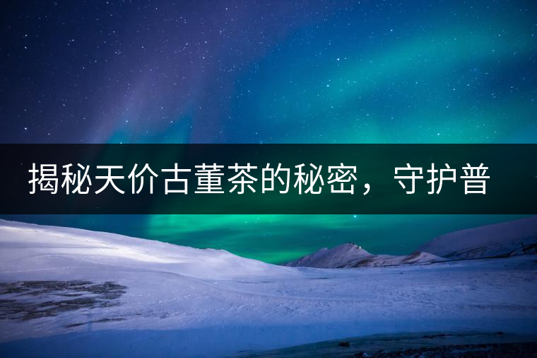 揭秘天價古董茶的秘密，守護(hù)普洱茶的健康發(fā)展