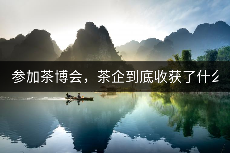 參加茶博會，茶企到底收獲了什么？