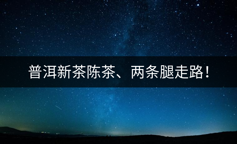 普洱新茶陳茶、兩條腿走路！