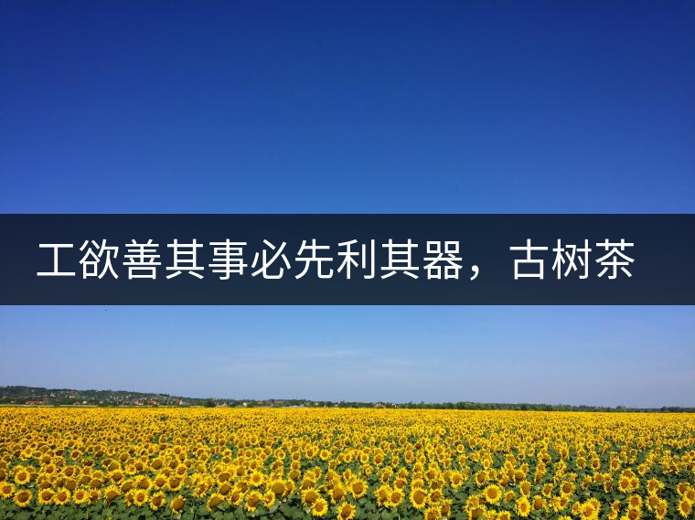 工欲善其事必先利其器，古樹茶用什么茶器最好？