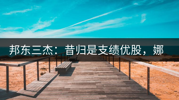 邦東三杰：昔歸是支績(jī)優(yōu)股，娜罕是支潛力股