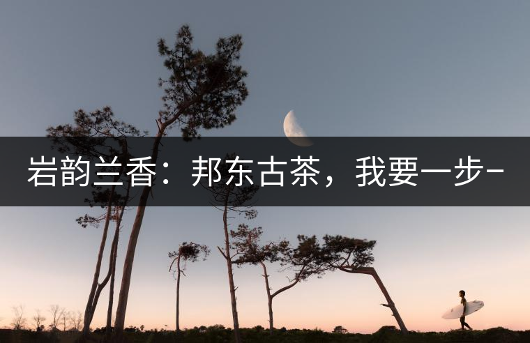 巖韻蘭香：邦東古茶，我要一步一步往上爬！