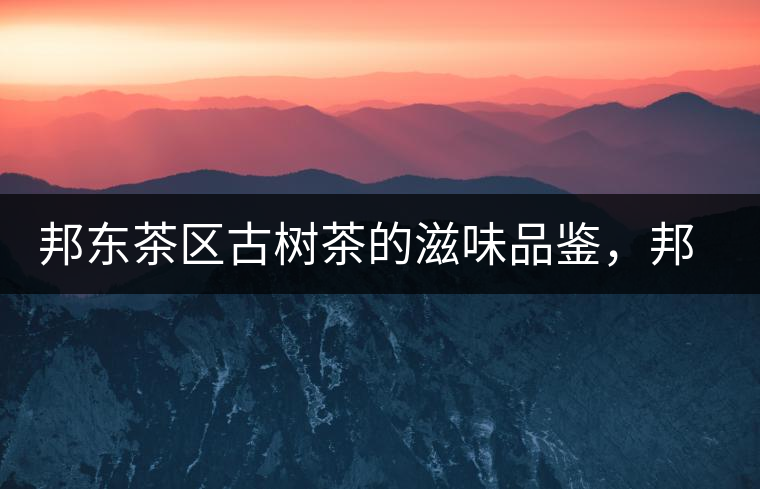 邦東茶區(qū)古樹茶的滋味品鑒，邦東普洱茶特點