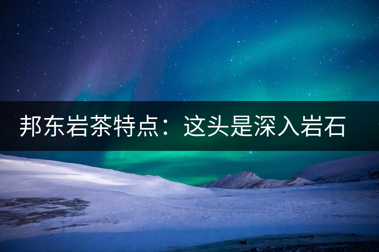 邦東巖茶特點：這頭是深入巖石的根，那頭是臨風(fēng)飄香的古韻