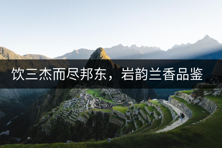 飲三杰而盡邦東，巖韻蘭香品鑒：生于山石上，韻味正當