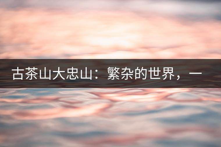 古茶山大忠山：繁雜的世界，一杯就夠了