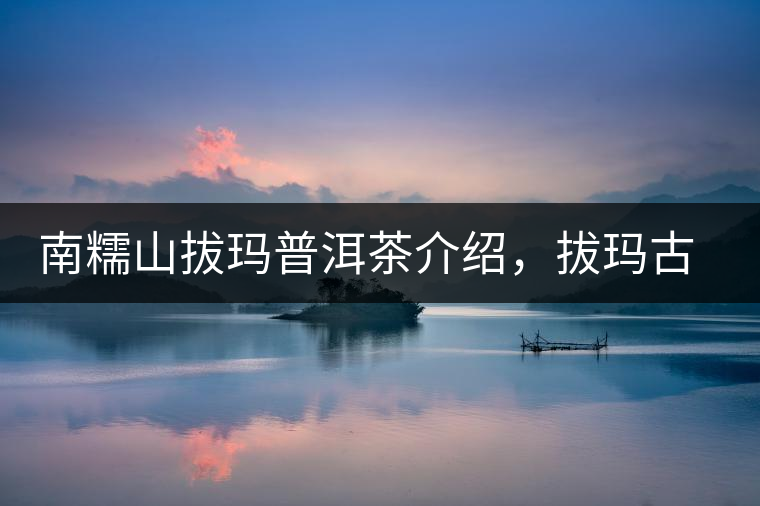 南糯山拔瑪普洱茶介紹，拔瑪古樹(shù)茶口感特點(diǎn)