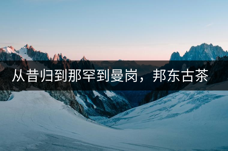 從昔歸到那罕到曼崗，邦東古茶藏著一條規(guī)律！