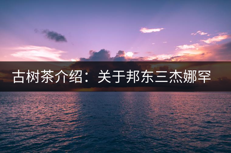 古樹(shù)茶介紹:關(guān)于邦東三杰娜罕的一些冷知識(shí) 古樹(shù)茶介紹:關(guān)于邦東三杰娜罕的一些冷知識(shí)