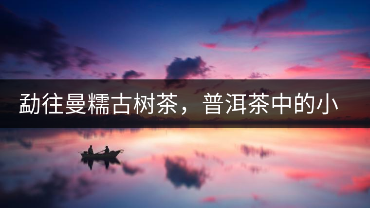 勐往曼糯古樹茶，普洱茶中的小班章