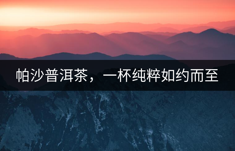 帕沙普洱茶，一杯純粹如約而至