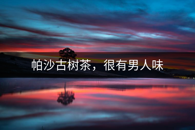 帕沙古樹茶，很有男人味