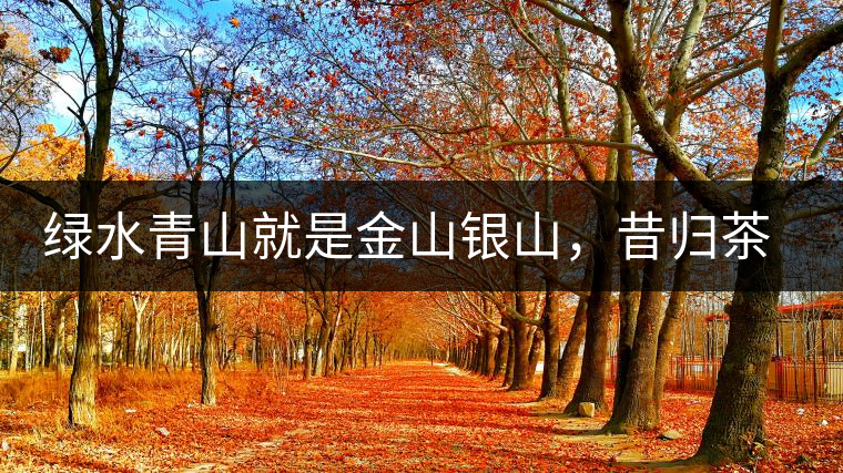 綠水青山就是金山銀山，昔歸茶農(nóng)唱著“茶歌”奔小康