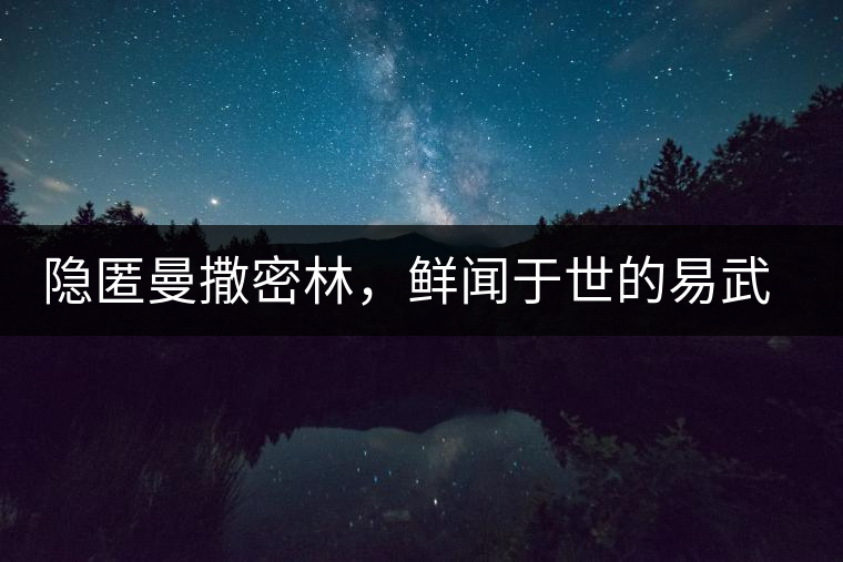 隱匿曼撒密林，鮮聞于世的易武一扇磨古樹茶