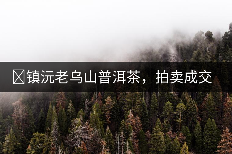 ?鎮(zhèn)沅老烏山普洱茶，拍賣(mài)成交價(jià)再創(chuàng)新高