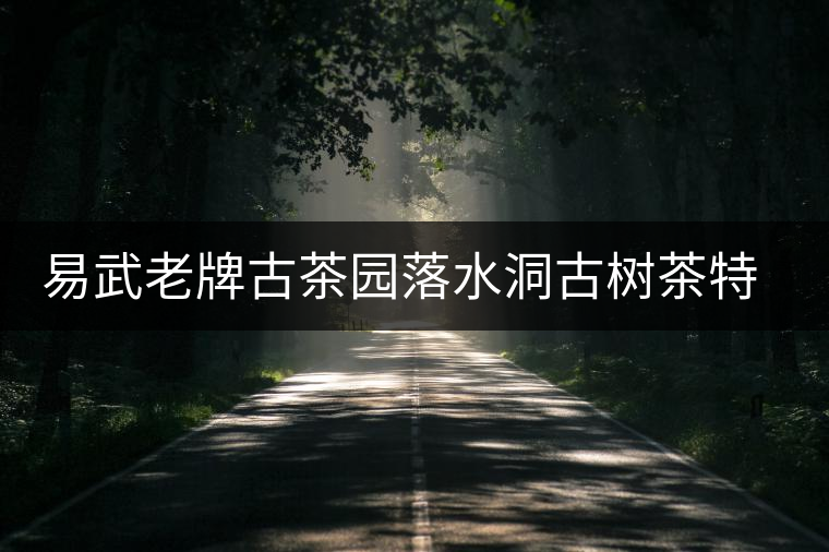 易武老牌古茶園落水洞古樹茶特點(diǎn)介紹