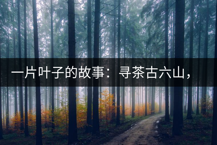 一片葉子的故事：尋茶古六山，倚邦最神秘
