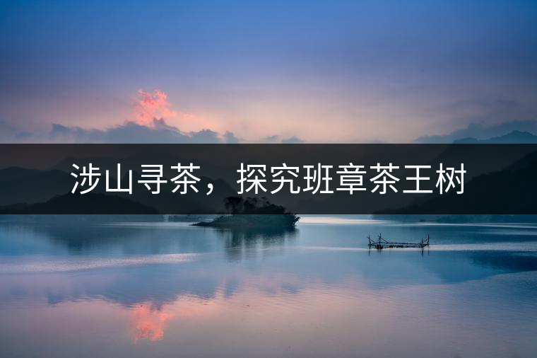 涉山尋茶，探究班章茶王樹(shù)