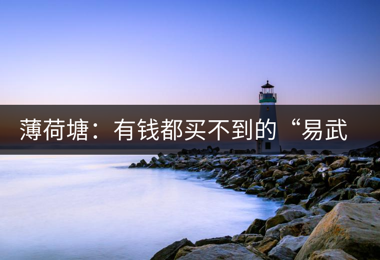 薄荷塘：有錢都買不到的“易武貴胄”，卓爾不群，無茶可及