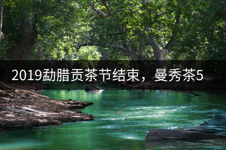 2019勐臘貢茶節(jié)結(jié)束，曼秀茶5公斤107萬奪得金獎