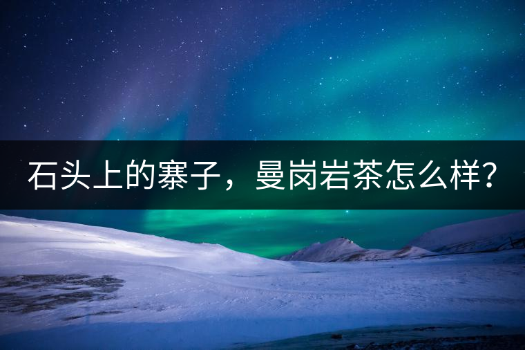 石頭上的寨子，曼崗巖茶怎么樣？