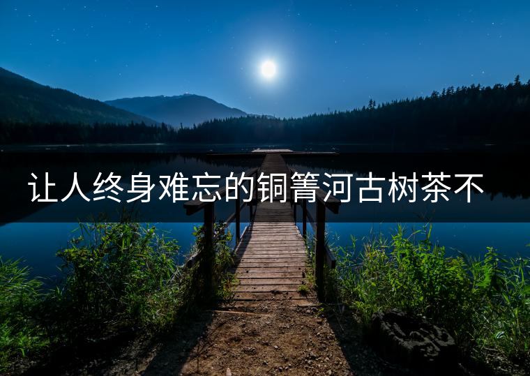 讓人終身難忘的銅箐河古樹(shù)茶不僅僅只有他的巔峰口感