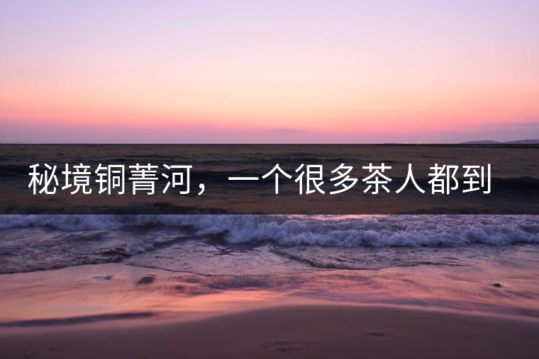 秘境銅菁河，一個(gè)很多茶人都到不了的地方