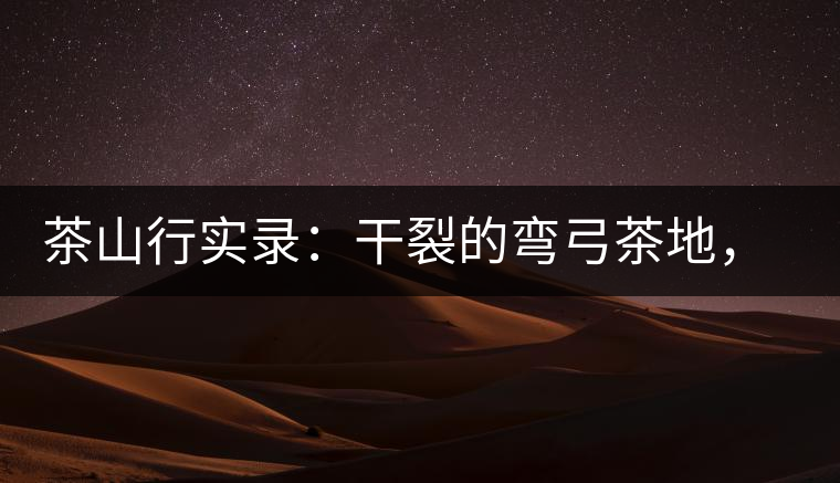 茶山行實(shí)錄：干裂的彎弓茶地，干旱減產(chǎn)已成定局