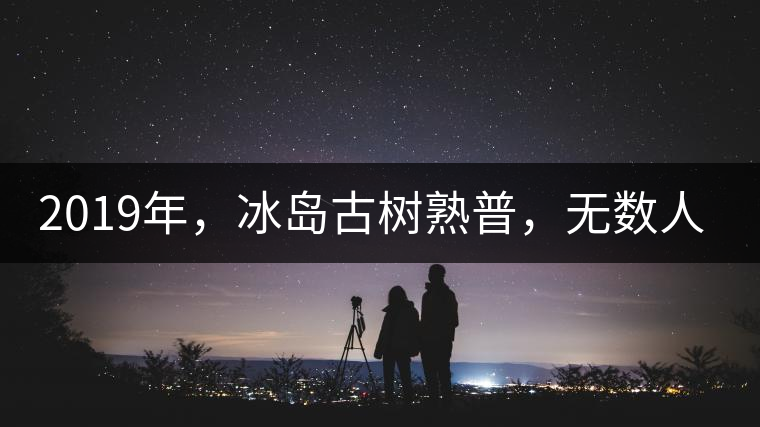 2019年，冰島古樹熟普，無數(shù)人在尋找