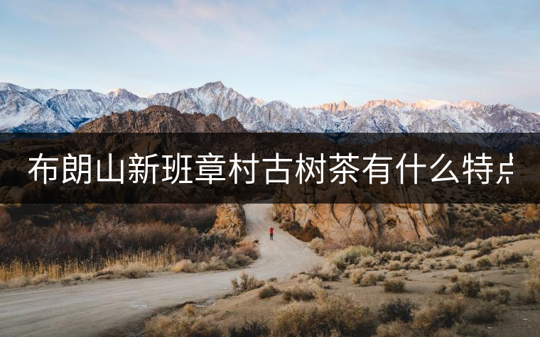 布朗山新班章村古樹茶有什么特點？