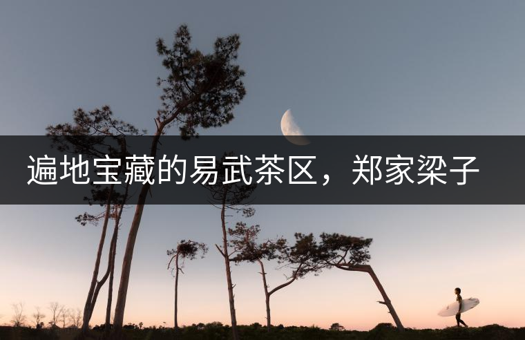 遍地寶藏的易武茶區(qū)，鄭家梁子荒田村古樹茶介紹