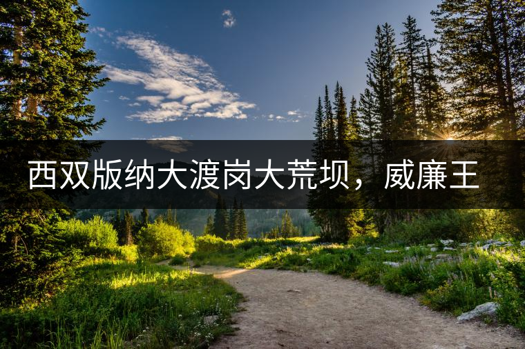 西雙版納大渡崗大荒壩，威廉王子曾經(jīng)到過的古樹茶山