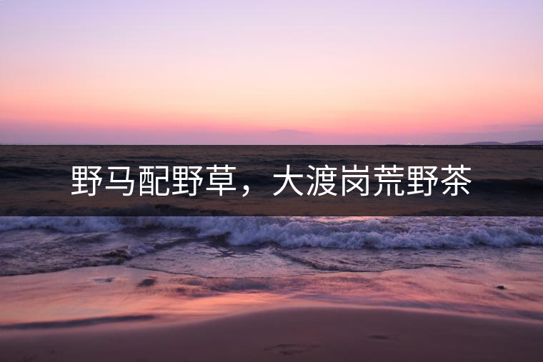野馬配野草，大渡崗荒野茶