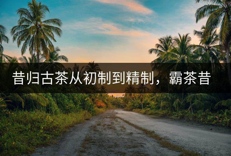 昔歸古茶從初制到精制，霸茶昔歸茶農(nóng)專業(yè)合作社成立