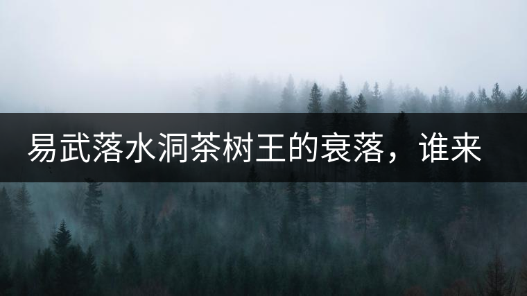 易武落水洞茶樹王的衰落，誰來關(guān)注古樹茶？